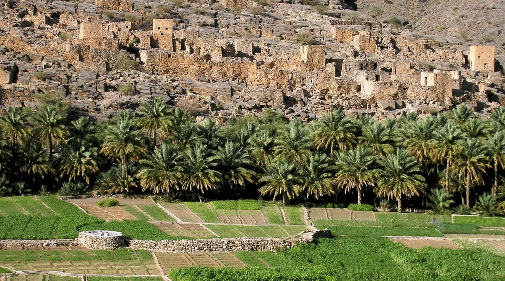 Service Picture 3